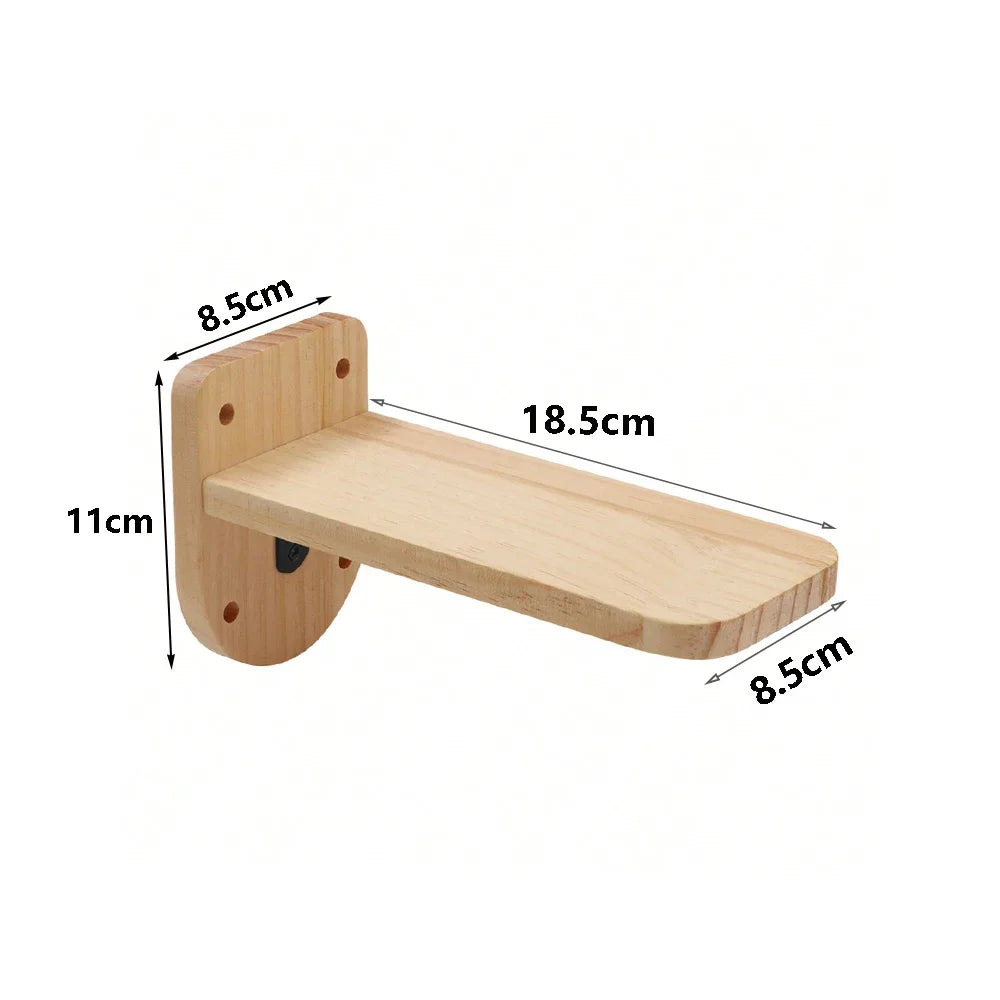 Cat Step C / As Picture