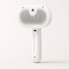 White Arelio MistBrush three-in-one pet grooming brush isolated on white