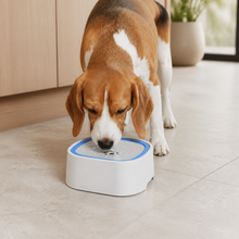 Dog drinking from the Arelio SplashGuard water bowl at home