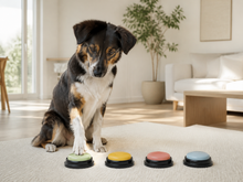 Dog pressing a sage Arelio TalkButton on a cream mat