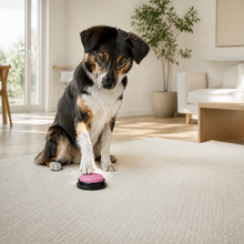 Arelio TalkButton | 30-Second Recordable Pet Button – Pink