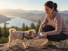 Small dog drinking from the TrailSip Mini flip-up silicone bowl outdoors
