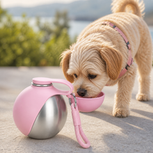 Arelio TrailSip Mini | 10 oz Stainless Travel Bottle – Pink
